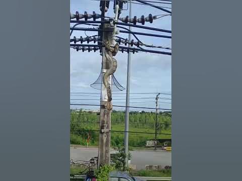 ШАШЛЫК ГОТОВ 🤯 - YouTube