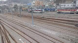 전기기관차 8228호 견인 용산행 무궁화호 #1504 열차