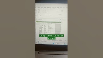 Create a Dropdown List in Excel ‼️