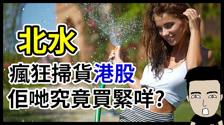 北水疯狂扫港股 佢哋究竟买紧咩？ - 天天要闻