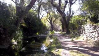 Video De Genaro Codina