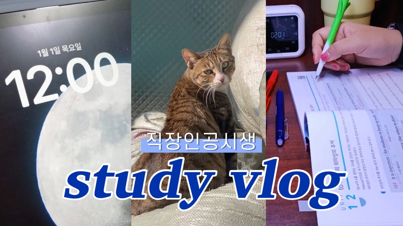 새해에도 열심히 일하고 공부할 직장인 공시생 브이로그 | 사회복지직 공시생 | 공부브이로그