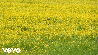 Video thumbnail of "Hermanos Banda De Salamanca - Tres Flores"