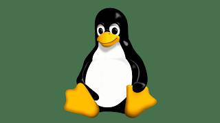 linux basics guide