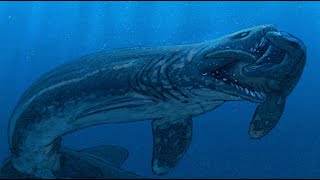 Proteothrinax - The Giant &amp; Extinct Frilled Shark