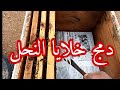 ضم خلايا النحل باستخدام الجريدة و العاسلة