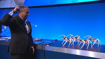 Chefe da Intel comanda quatro aranhas robóticas com módulo Curie