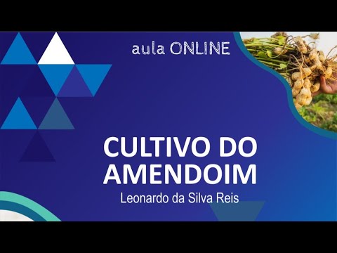 Vídeo: Cultivo De Amendoim Em Uma Trama Pessoal