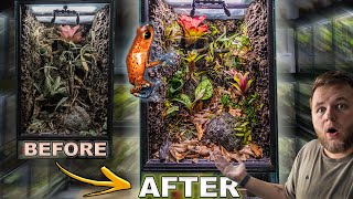 Giving LIFE to a dying TERRARIUM- Poison Frog terrarium maintenance