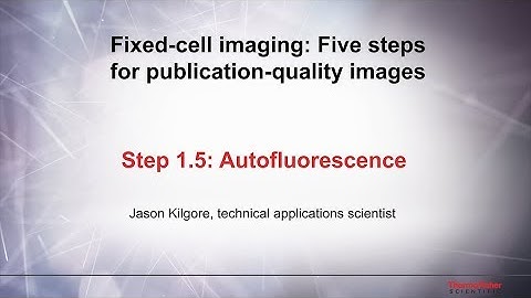 1.5 Autofluorescence–Fixed cell imaging: 5 steps for publication-quality images