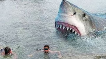 Scary Found Evidence That Is Proof The Megalodon Is Real - Part 5