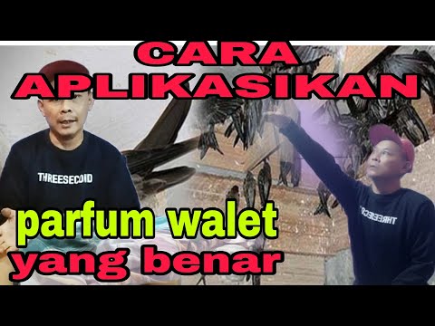 Video: Apakah yang dilakukan oleh Bahan Gunaan?