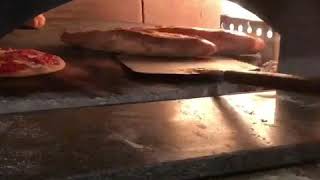 IMG 7288