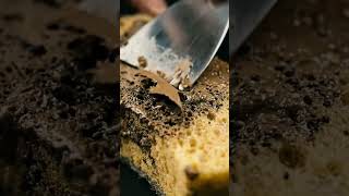 Dirty Sponge ➜ Perfectly Clean in Ultra Macro #satisfying #asmr #macro #cleaning