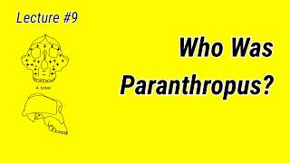 Who Was Paranthropus