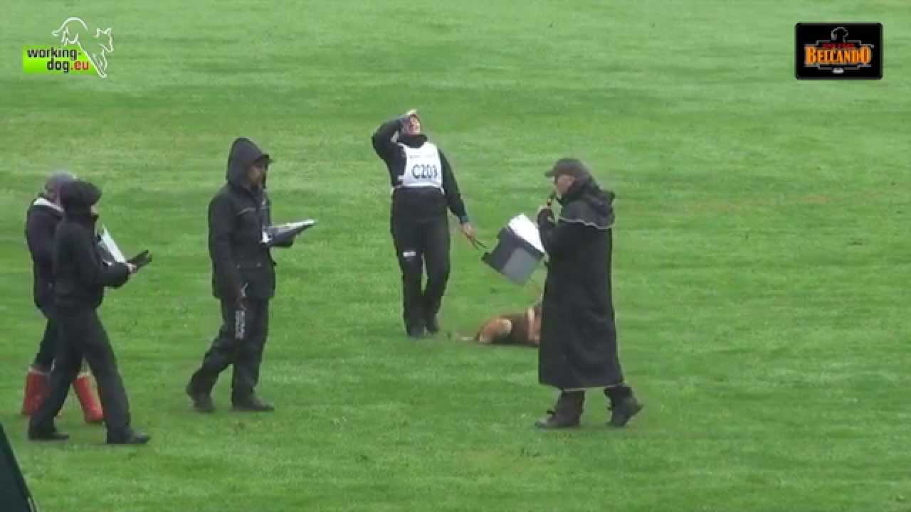 フンデルトヴァッサー 日本 FMBB 2014 - Ayko Boccaro - protection 96p - presented by Belcando