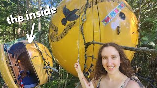 I lived inside a ball treehouse in the forest 🌳🏠 Free Spirit Spheres, Vancouver Island vlog by Jess Delight 599 views 8 months ago 9 minutes, 50 seconds