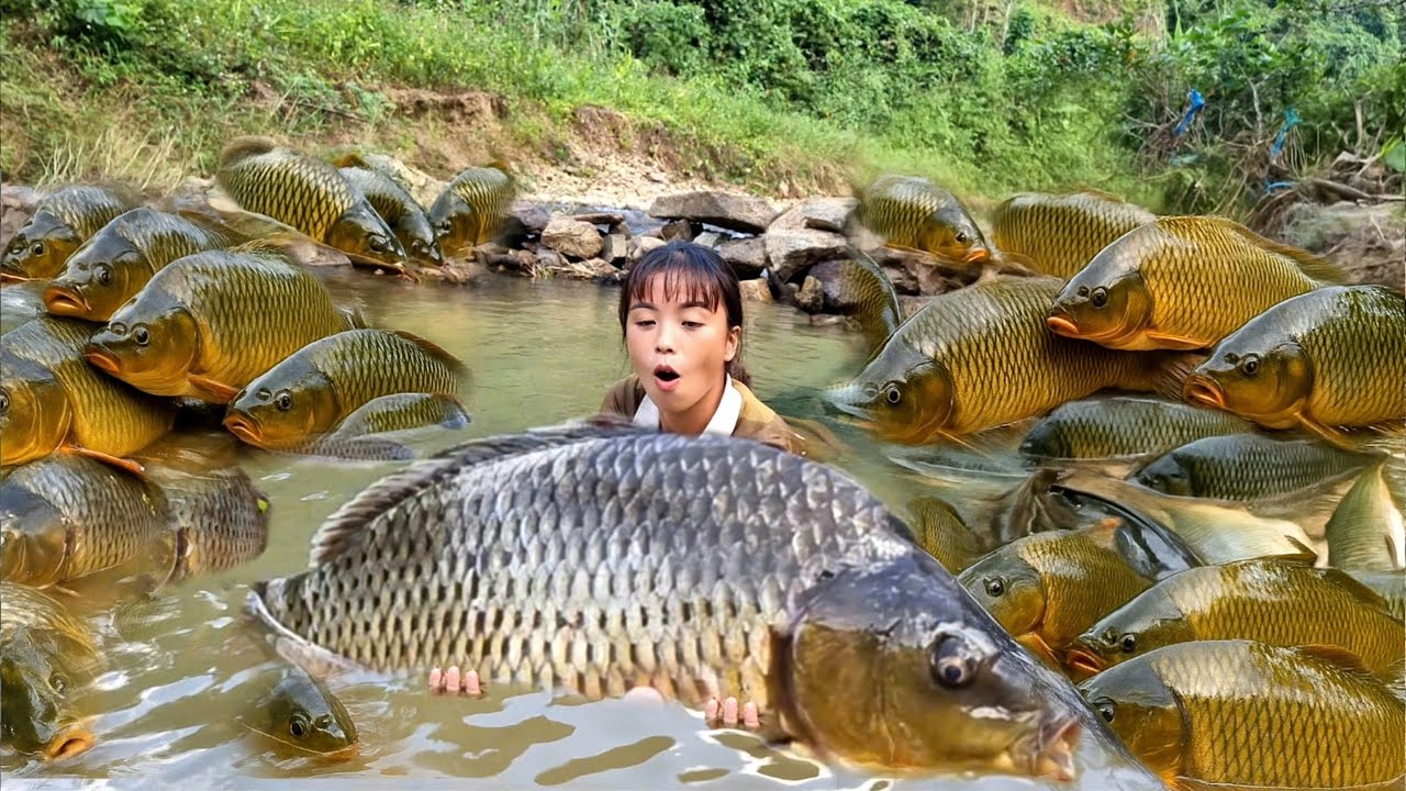 How to catch giant river fish to sell at the market - hand fishing ...