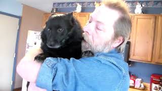 Cotton Schipperkes & Hound: SKYLER STORMS 8TH BDAY PARTY by Cotton Schipperkes 86 views 6 years ago 9 minutes, 27 seconds