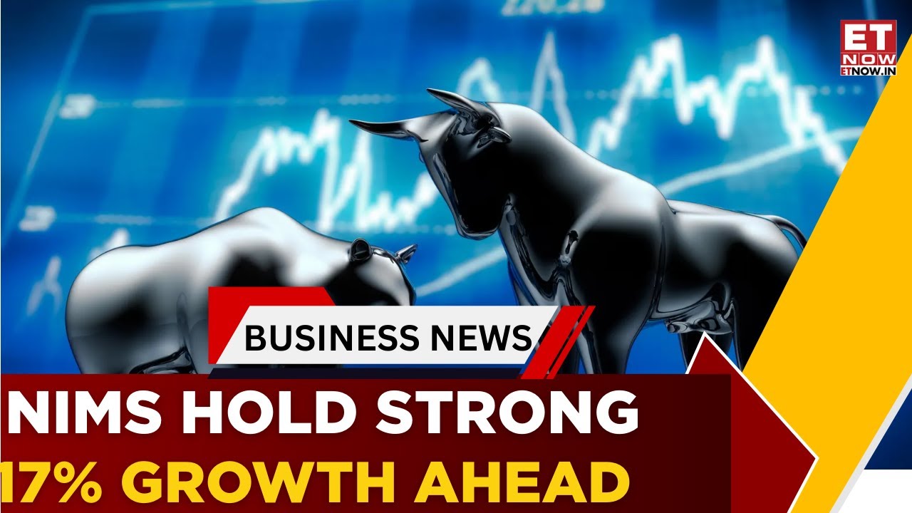 Bank Results Explained: NIM Outlook, 17% Loan Growth & Asset Quality | Salee S Nair | Business News