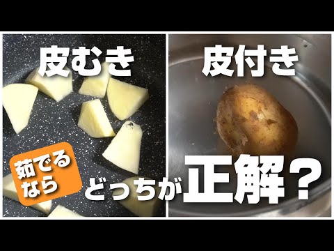 じゃがいもを茹でるなら皮付き、皮むきどっちが正解か検証してみた！