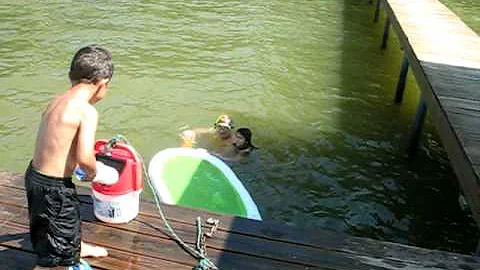 waterfight