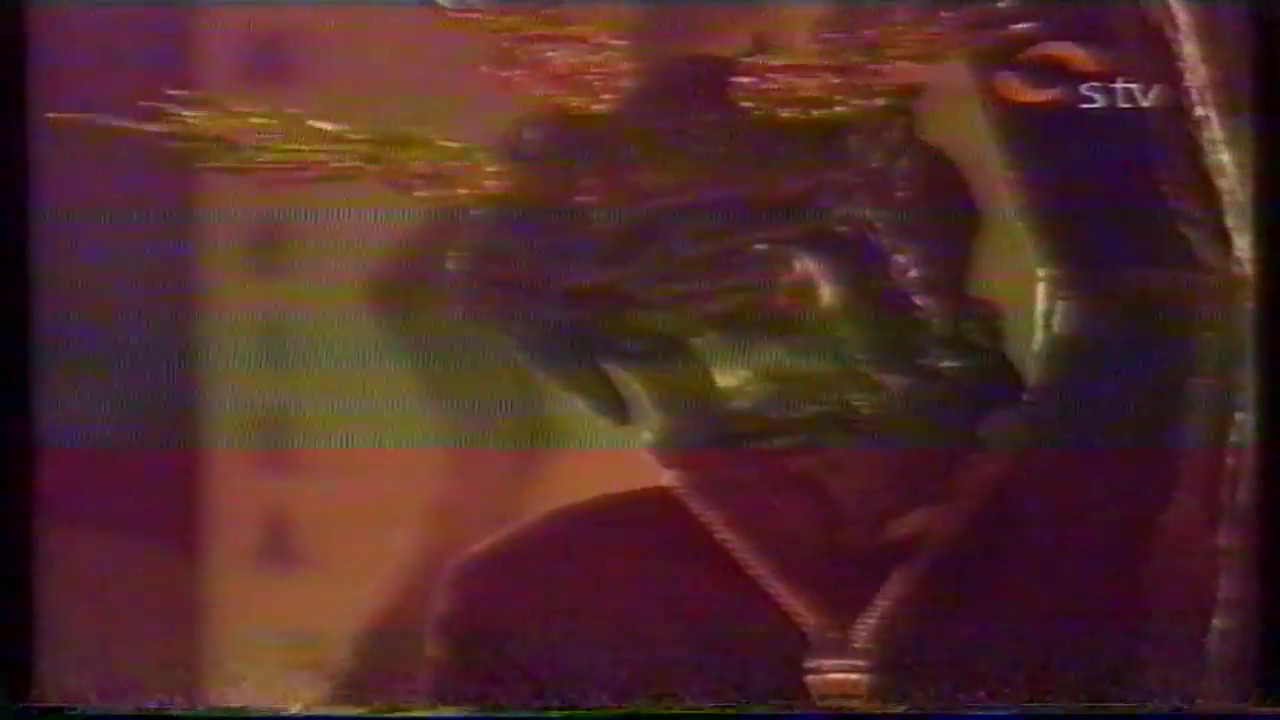 LOS GITANOS - CAMPANA 2007