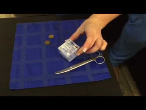 Как заклеить пластырем уши Джек Рассел терьеру