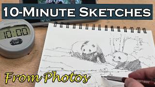 How to Draw From A Reference Photo Step by Step