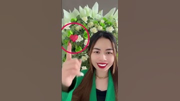 3 BƯỚC ỨNG DỤNG LUẬT HẤP DẪN HIỆU QUẢ NHẤT HÀNH TINH  #TranVi #chamtayhoavang