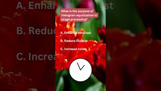 What is the Purpose of Histogram Equalization in Image Processing#sciencefather #processing