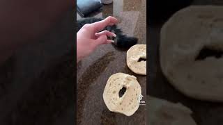 i have no idea how to make whole bagels... EHHHHGGGHHH 😖😖 #shorts