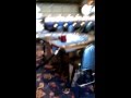 Carnival Cruise Line Casino Guide - YouTube
