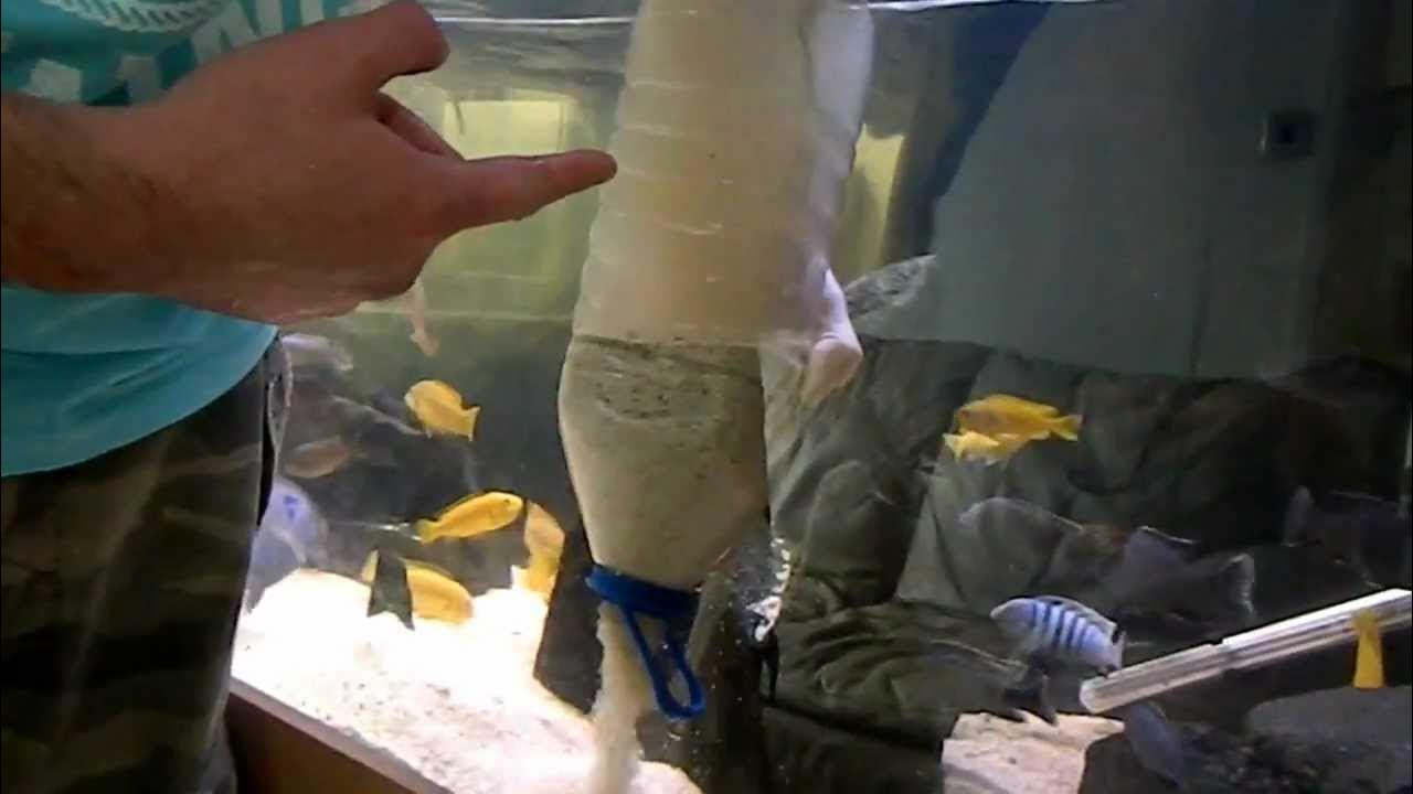 Adding sand to your fish tank (cleaning the easy way) YouTube
