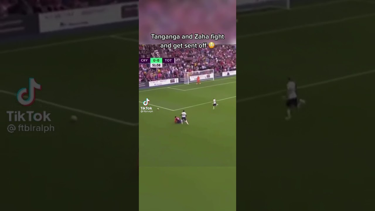 Tanganga and Zaha fight