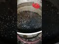 الايام الخالدة حافظ عبد الرحمن 