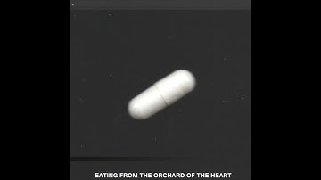 Triames - Serpent [IOD037]