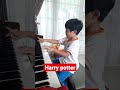 Harry Potter Theme