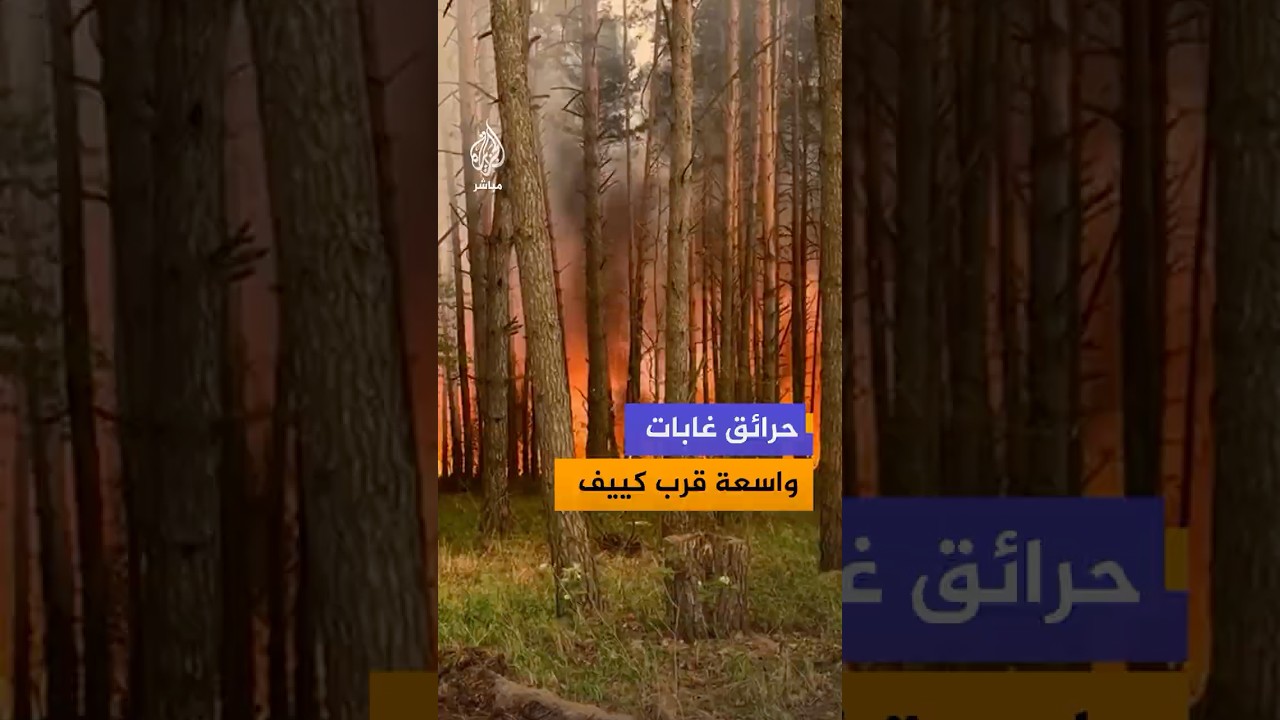 هيئة الطوارئ الأوكرانية تواصل عمليات إخماد حرائق واسعة اندلعت في غابات بمنطقة بوشا قرب كييف