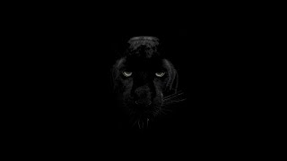 black panther wallpaper - wild cat wallpaper screenshot 3