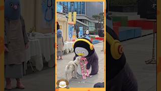 귀여운 멍멍이와 더 귀여운 펭귄의 만남🐶🐧 #pengsoo #펭수 #강아지 #멍멍이 #펭귄 #날개 #손 #심쿵 #성공 #DOG #7주년 #😍