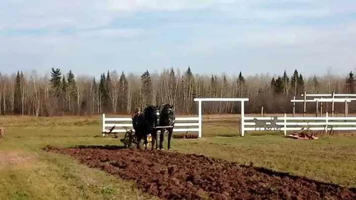 Plowing with horses, in Sainte-Marie-De-...  New B...