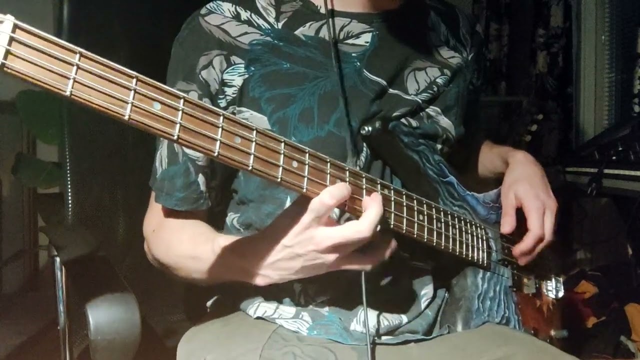 Death Grips - Death Grips Is Online BASS COVER