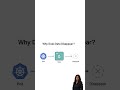 Why does data disappears?