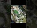 He Brought Trebuchets. I Brought Knights. | Rus vs English #shorts #gaming #ageofempires4 #aoe4