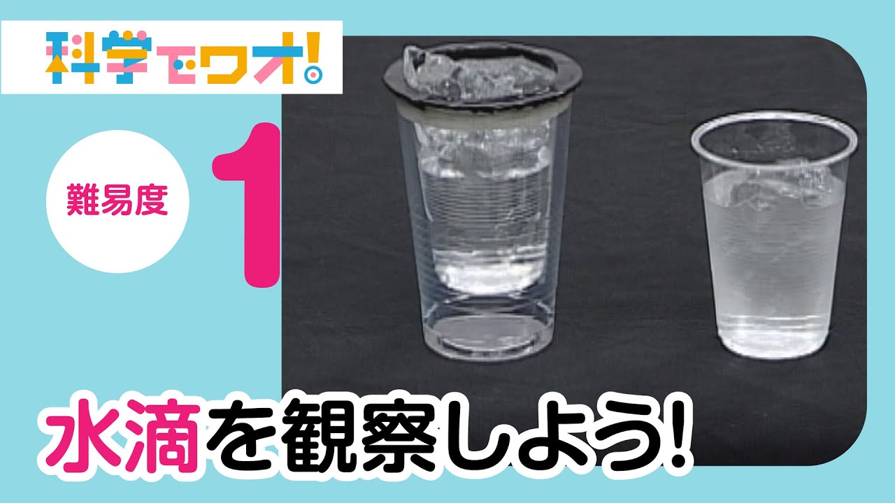 自由研究 水滴を観察しよう Youtube