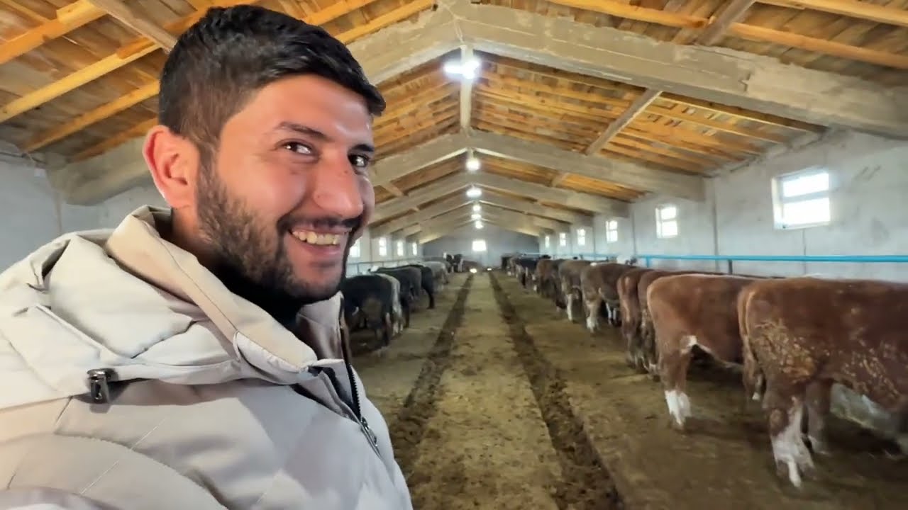 PAZARLIK AHIRDA BAŞLADI ARABADA BİTTİ