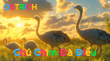 Nhạc Thiếu Nhi Sôi động CHÚ CHIM ĐÀ ĐIỂU     OSTRICH  SONG #capybara #nhạc #nhacthieunhi #chuvitcon