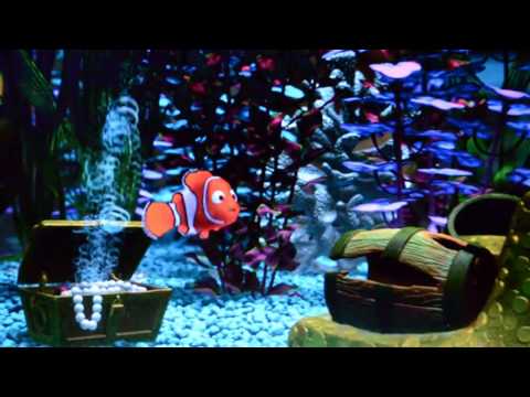 Nemo Censored