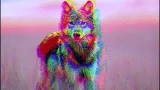 Sugar - Robin Schulz (Sped Up)